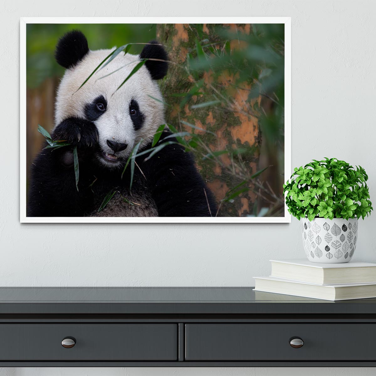 Bamboo Time Framed Print - 1x -6