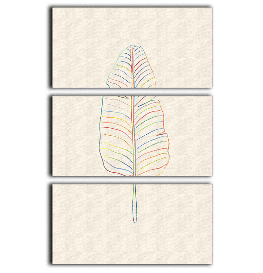 Banana Rainbow Leaf 3 Split Panel Canvas Print - 1x - 1