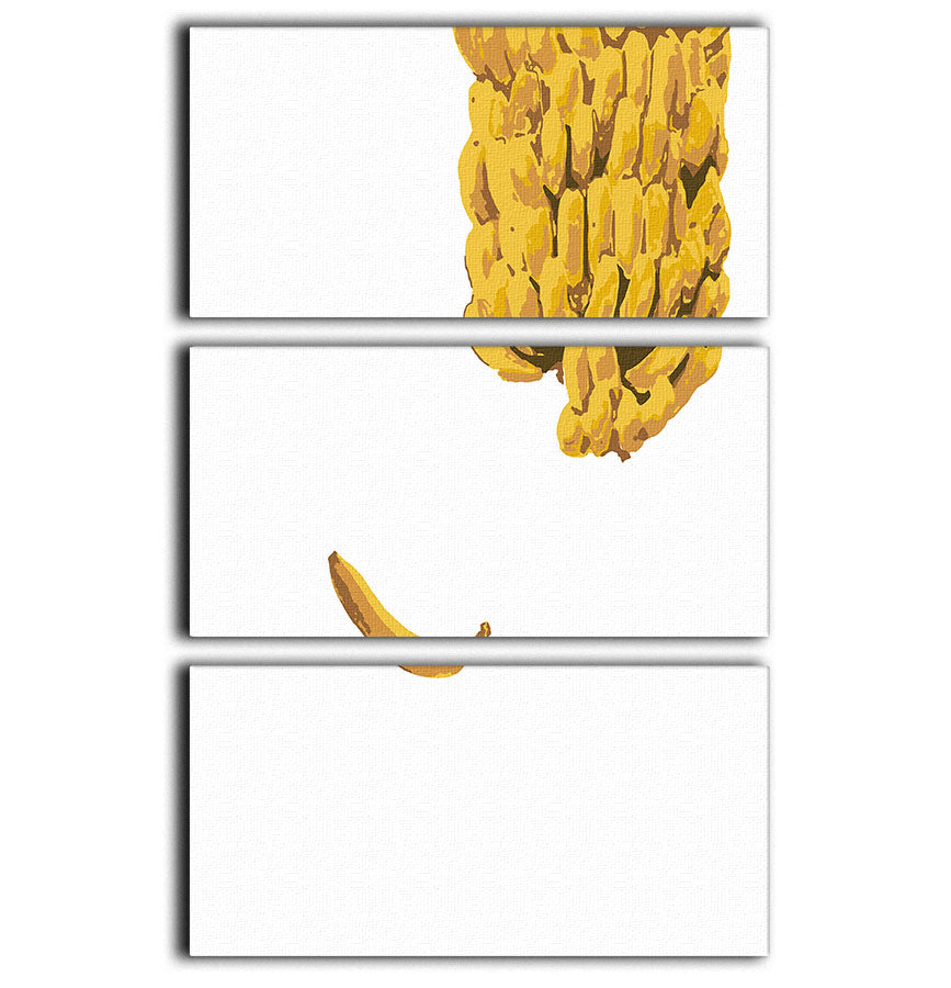 Bananas 3 Split Panel Canvas Print - 1x - 1