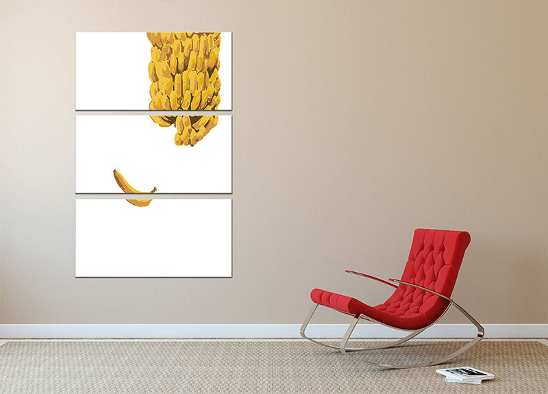 Bananas 3 Split Panel Canvas Print - 1x - 2