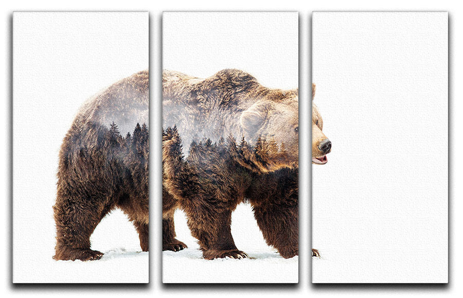 Bear 3 Split Panel Canvas Print - 1x - 1