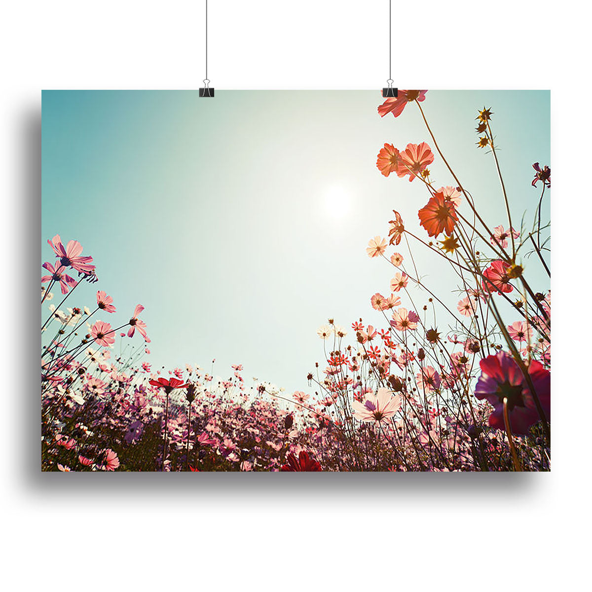 Beautiful cosmos flower field Poster - Unframed