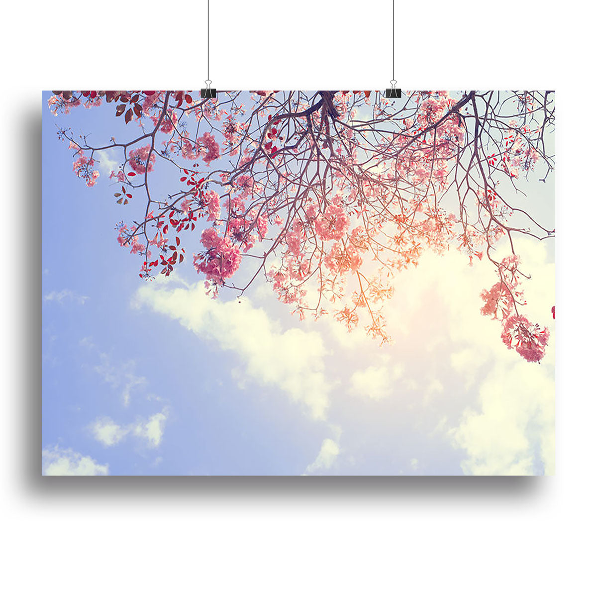 Beautiful tree pink flower in spring Poster - Unframed
