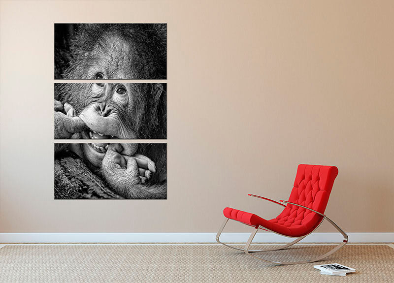 Big Smile Please 3 Split Panel Canvas Print - 1x - 2