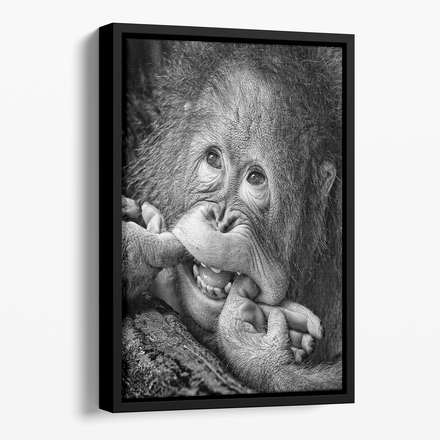 Big Smile Please Floating Framed Canvas - 1x - 1