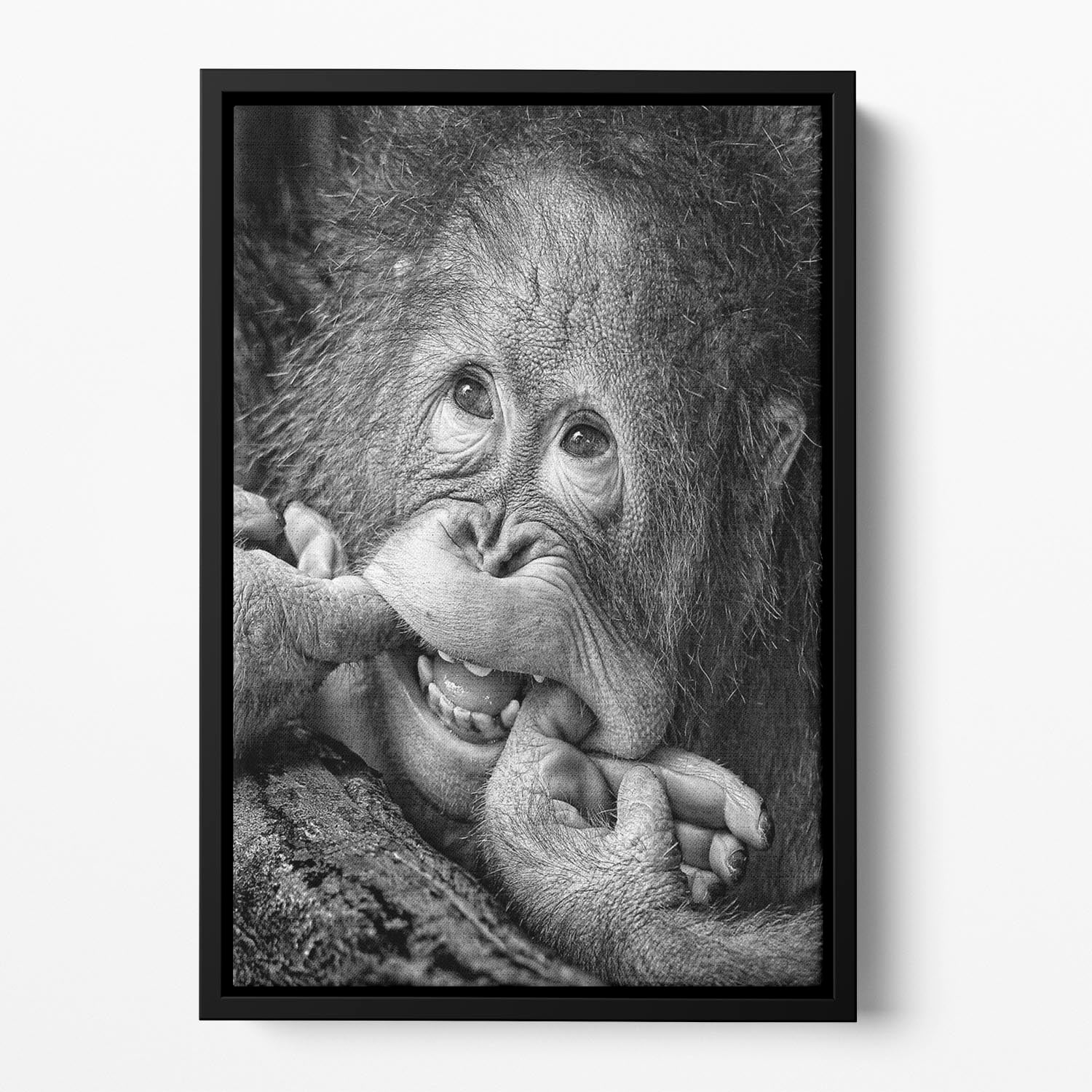 Big Smile Please Floating Framed Canvas - 1x - 2