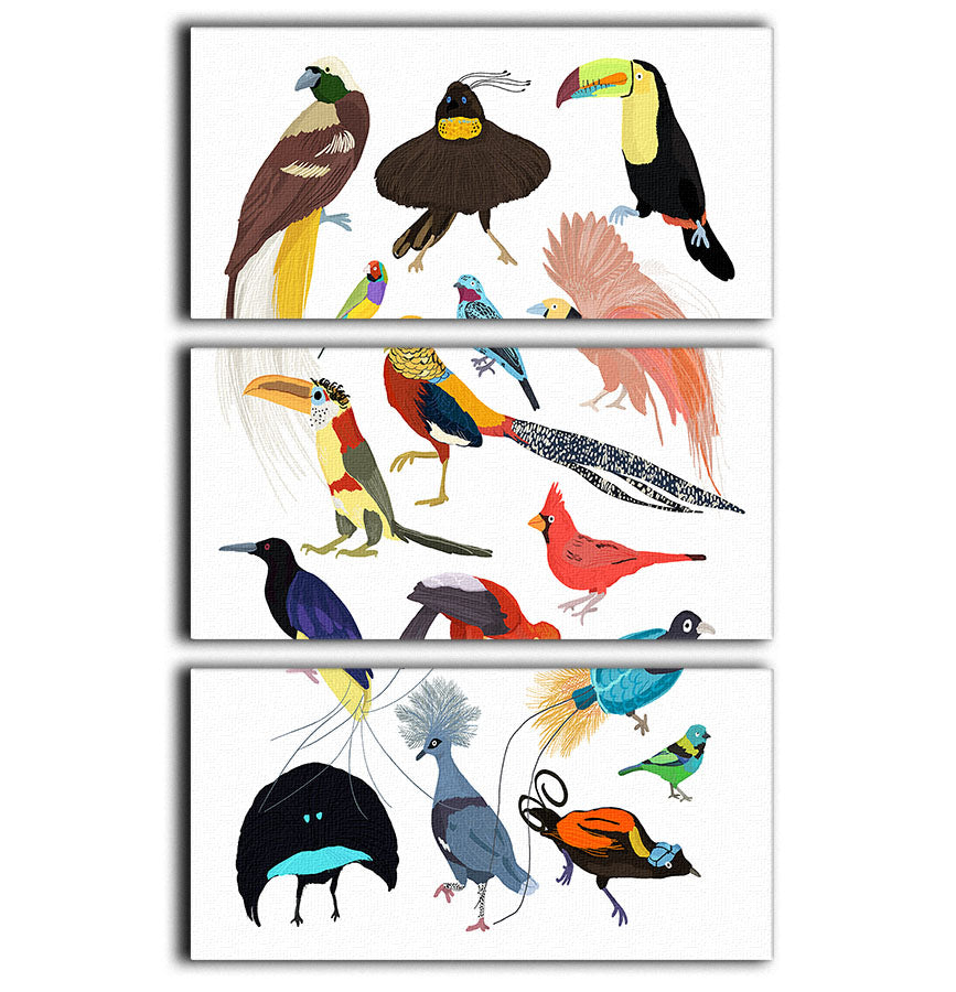 Birds of Paradise 3 Split Panel Canvas Print - 1x - 1