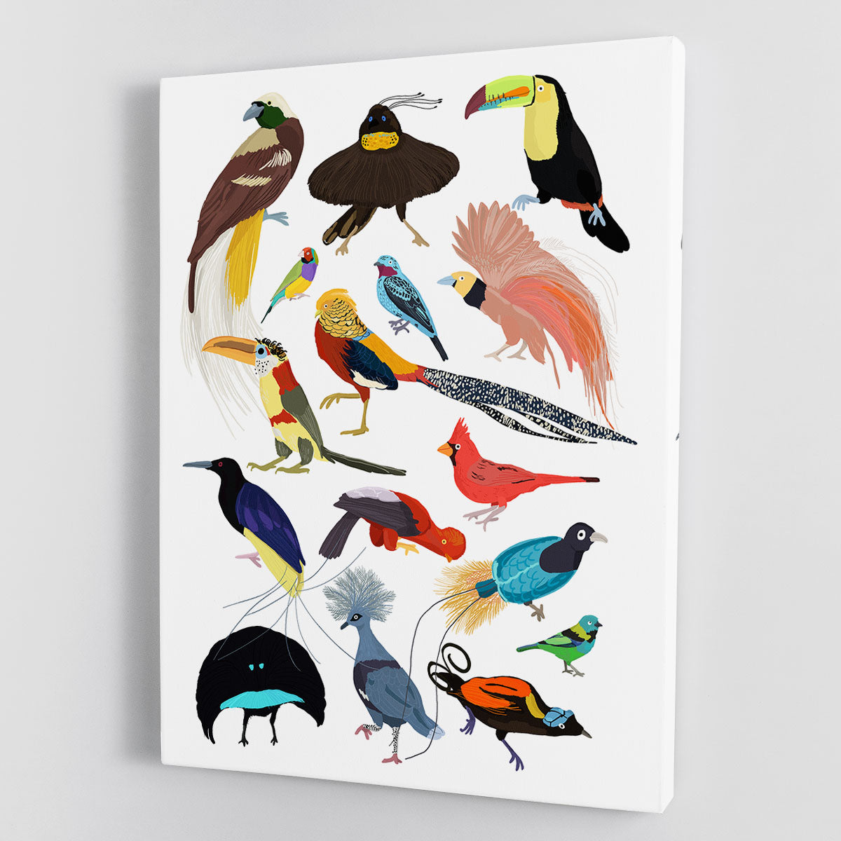 Birds of Paradise Canvas Print or Poster - 1x - 1