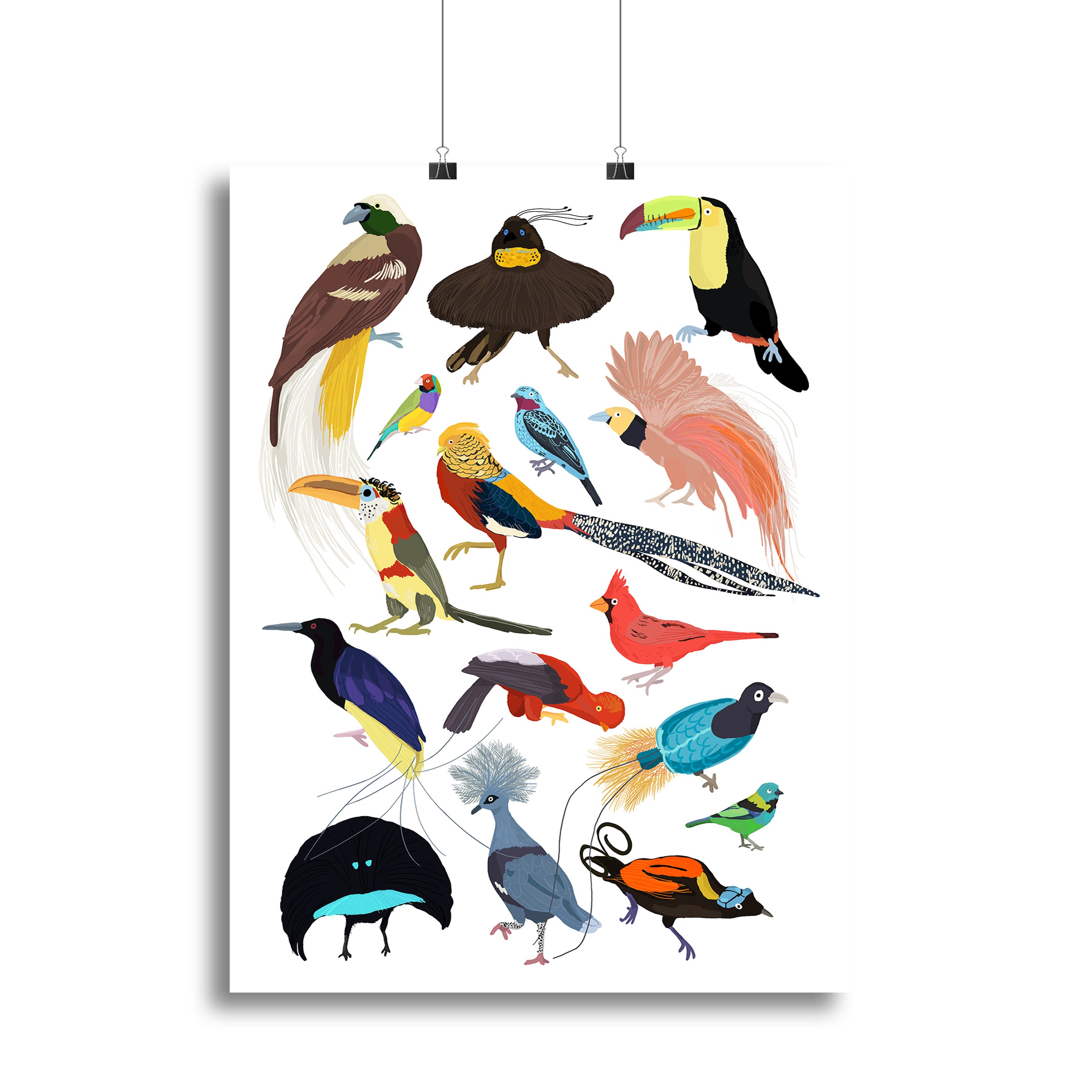 Birds of Paradise Canvas Print or Poster - 1x - 2