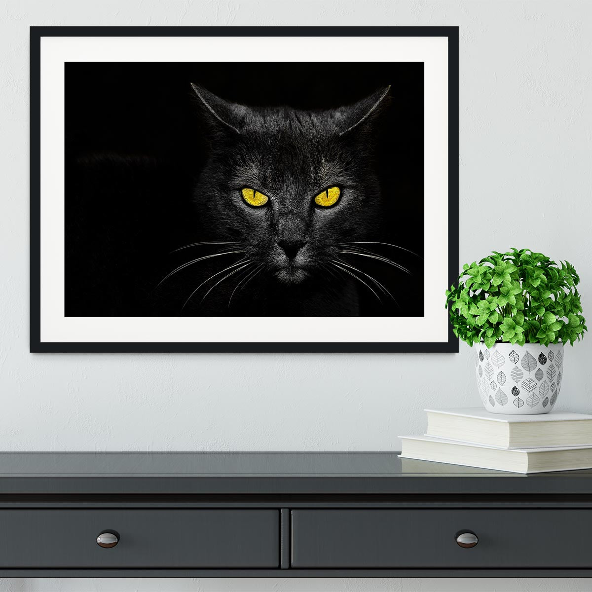 Black Cat Framed Print - 1x - 1