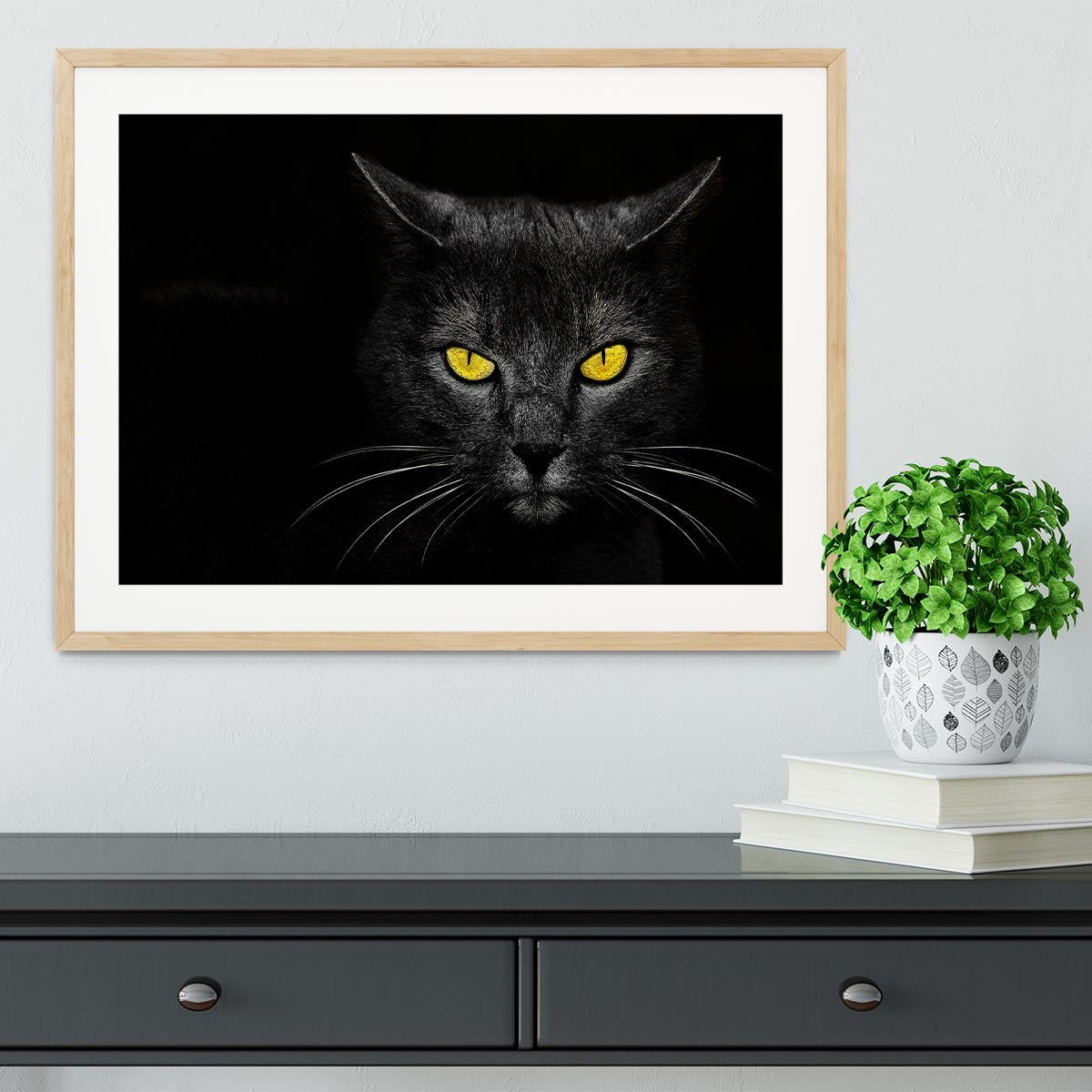 Black Cat Framed Print - 1x - 3