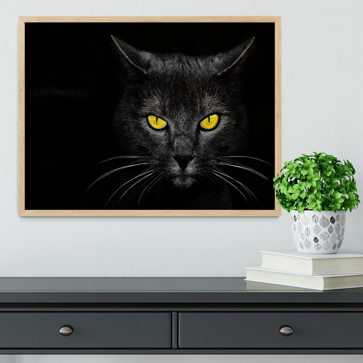 Black Cat Framed Print - 1x - 4