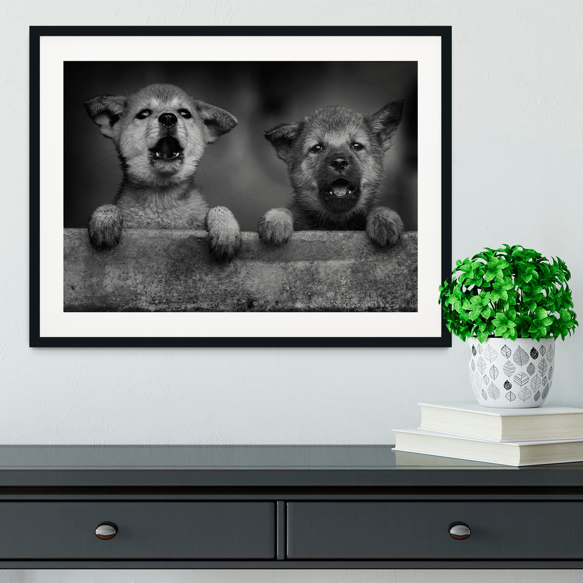 Black and White Puppies Framed Print - 1x - 1