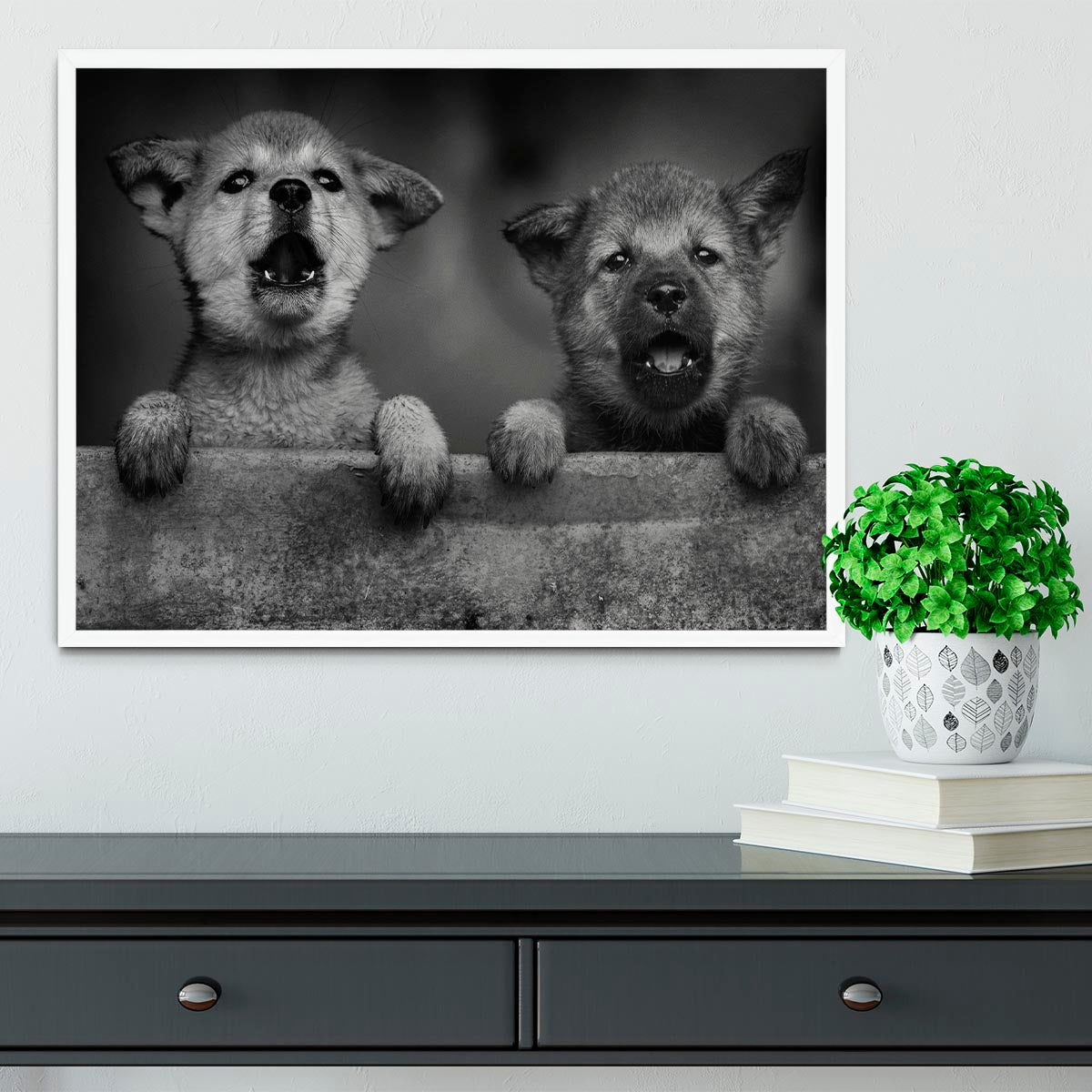 Black and White Puppies Framed Print - 1x -6