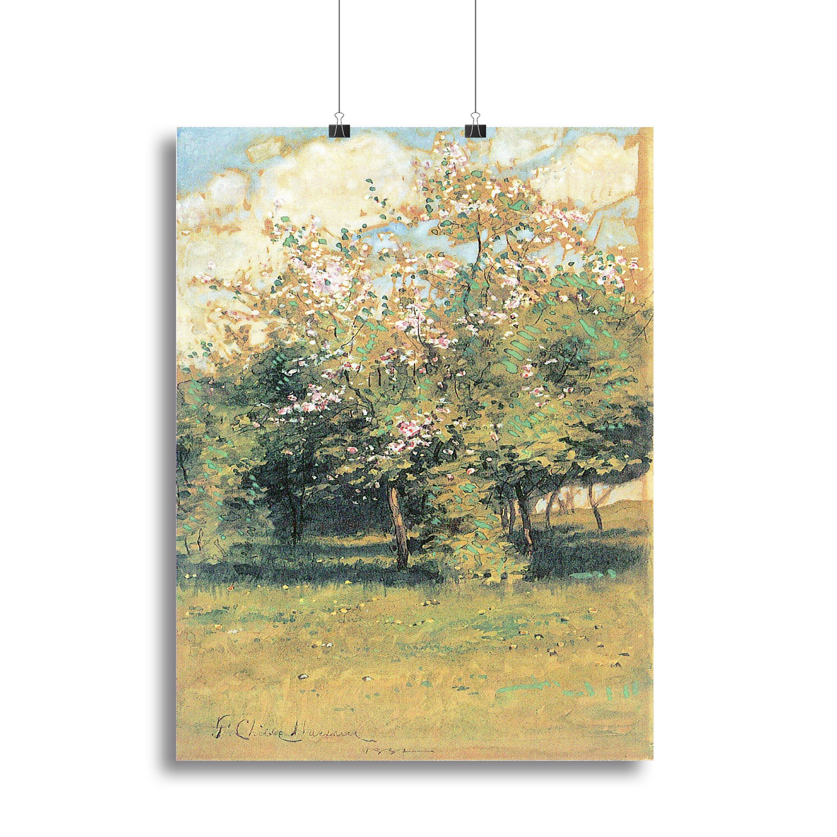 Blooming Trees by Hassam Poster - Unframed