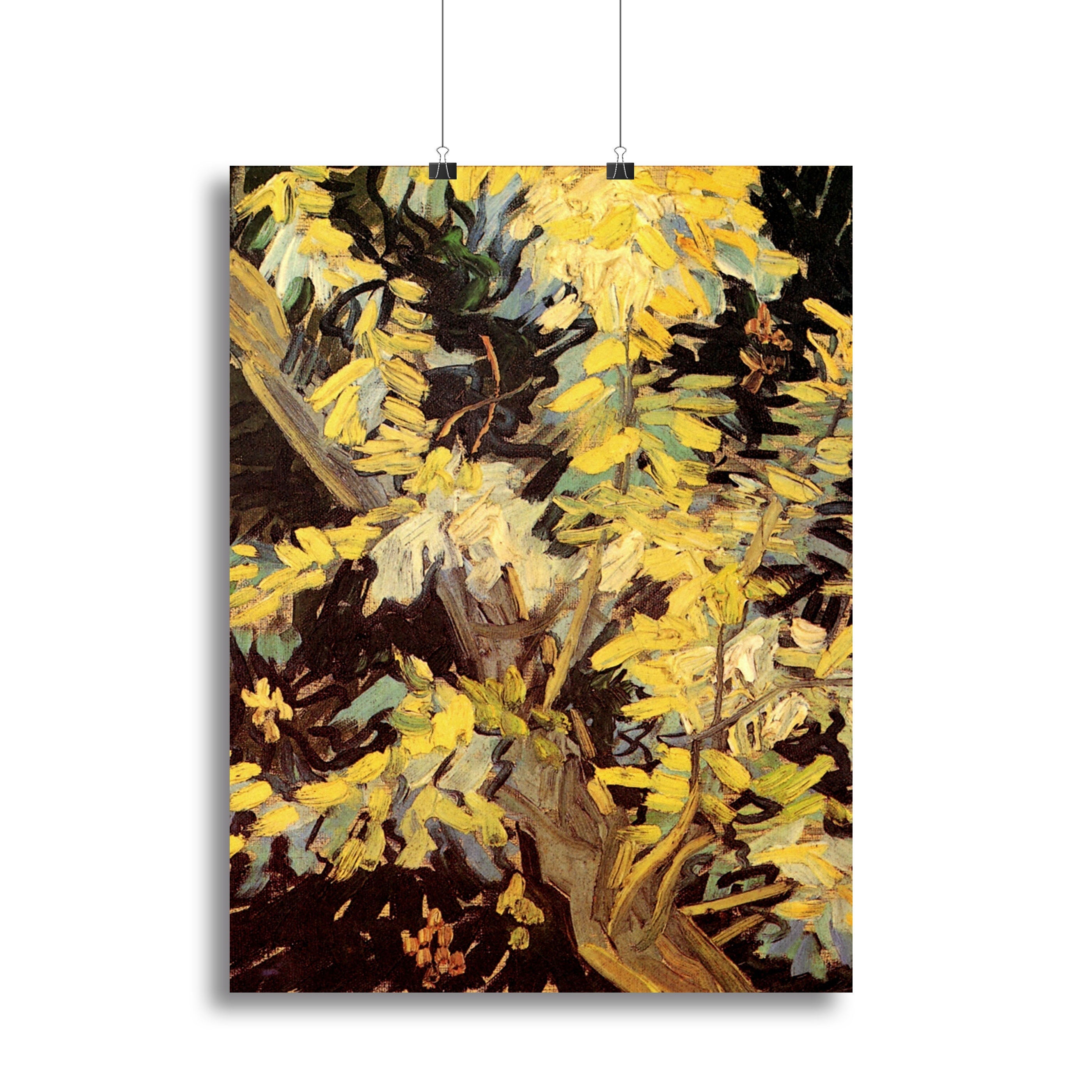 Blossoming Acacia Branches by Van Gogh Poster - Unframed