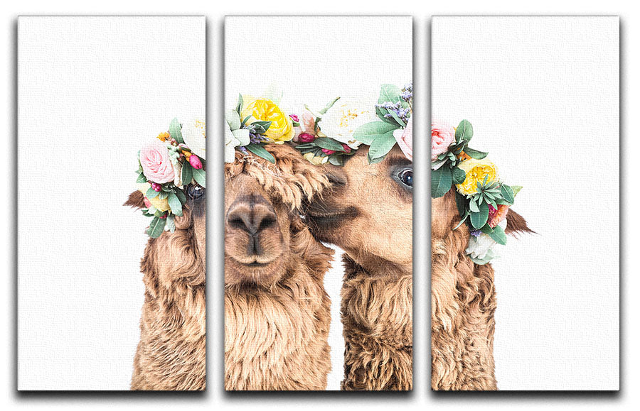 Boho Alpacas 3 Split Panel Canvas Print - 1x - 1