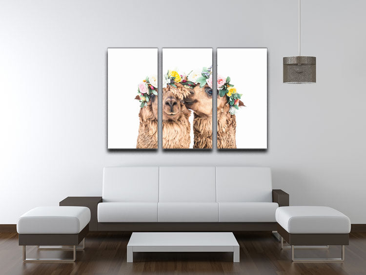 Boho Alpacas 3 Split Panel Canvas Print - 1x - 3