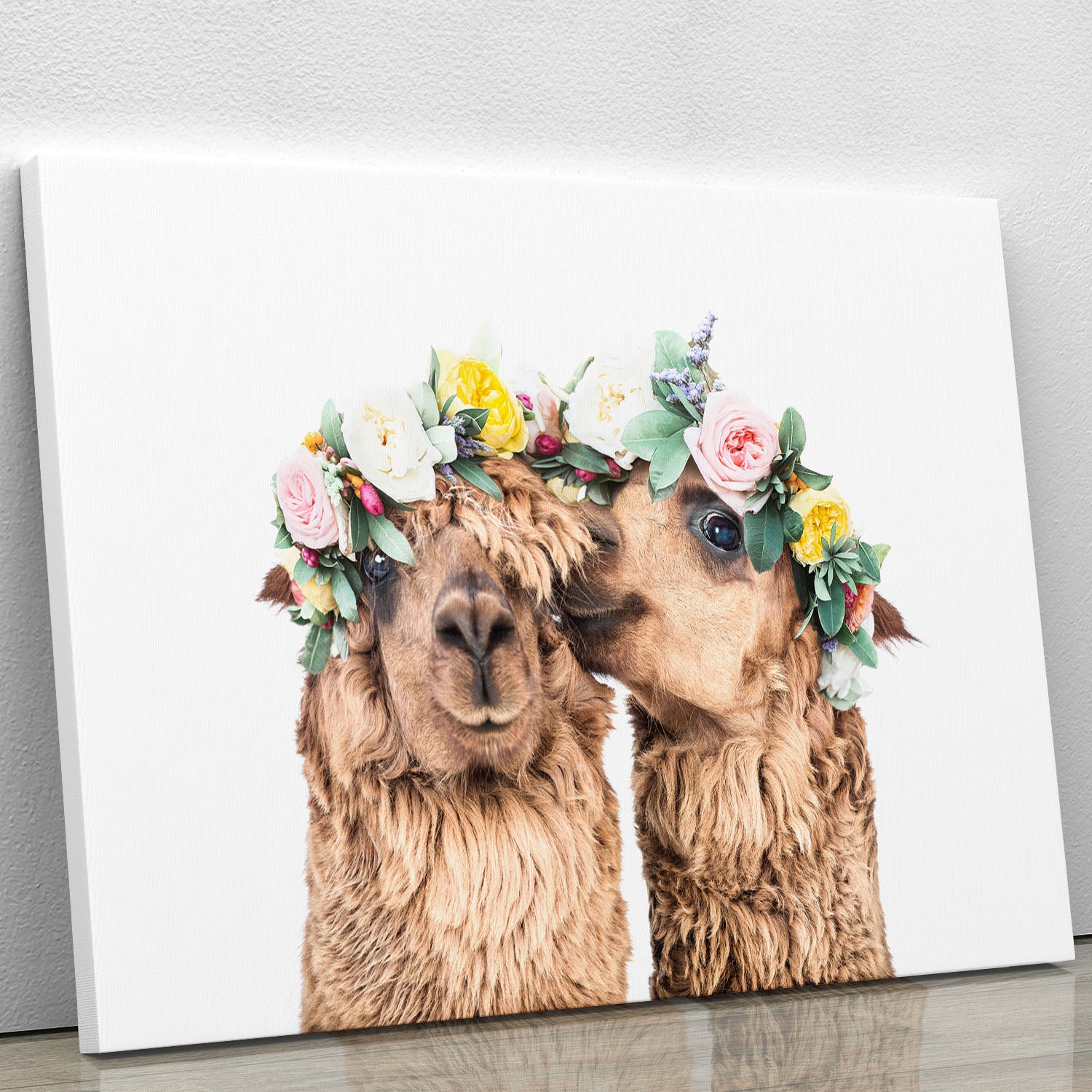 Boho Alpacas Canvas Print or Poster - 1x - 1