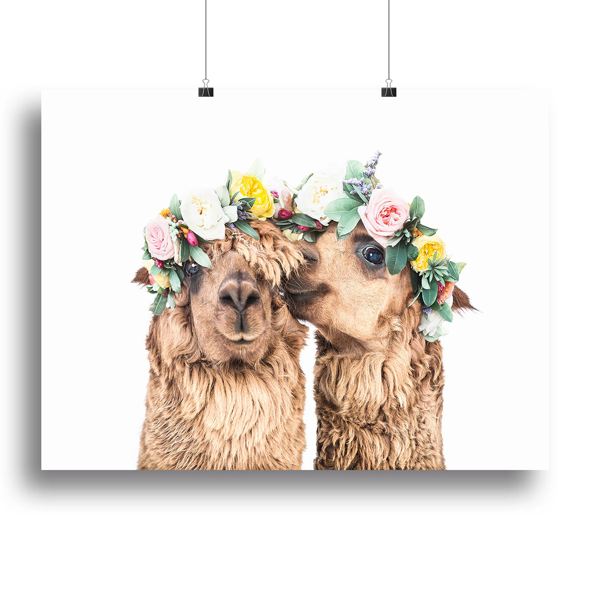 Boho Alpacas Canvas Print or Poster - 1x - 2