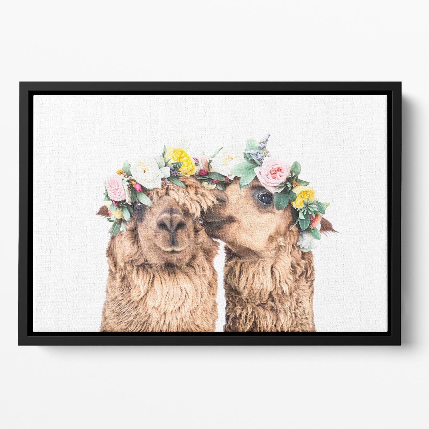 Boho Alpacas Floating Framed Canvas - 1x - 2