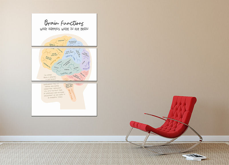 Brain Functions 3 Split Panel Canvas Print - Canvas Art Rocks - 2