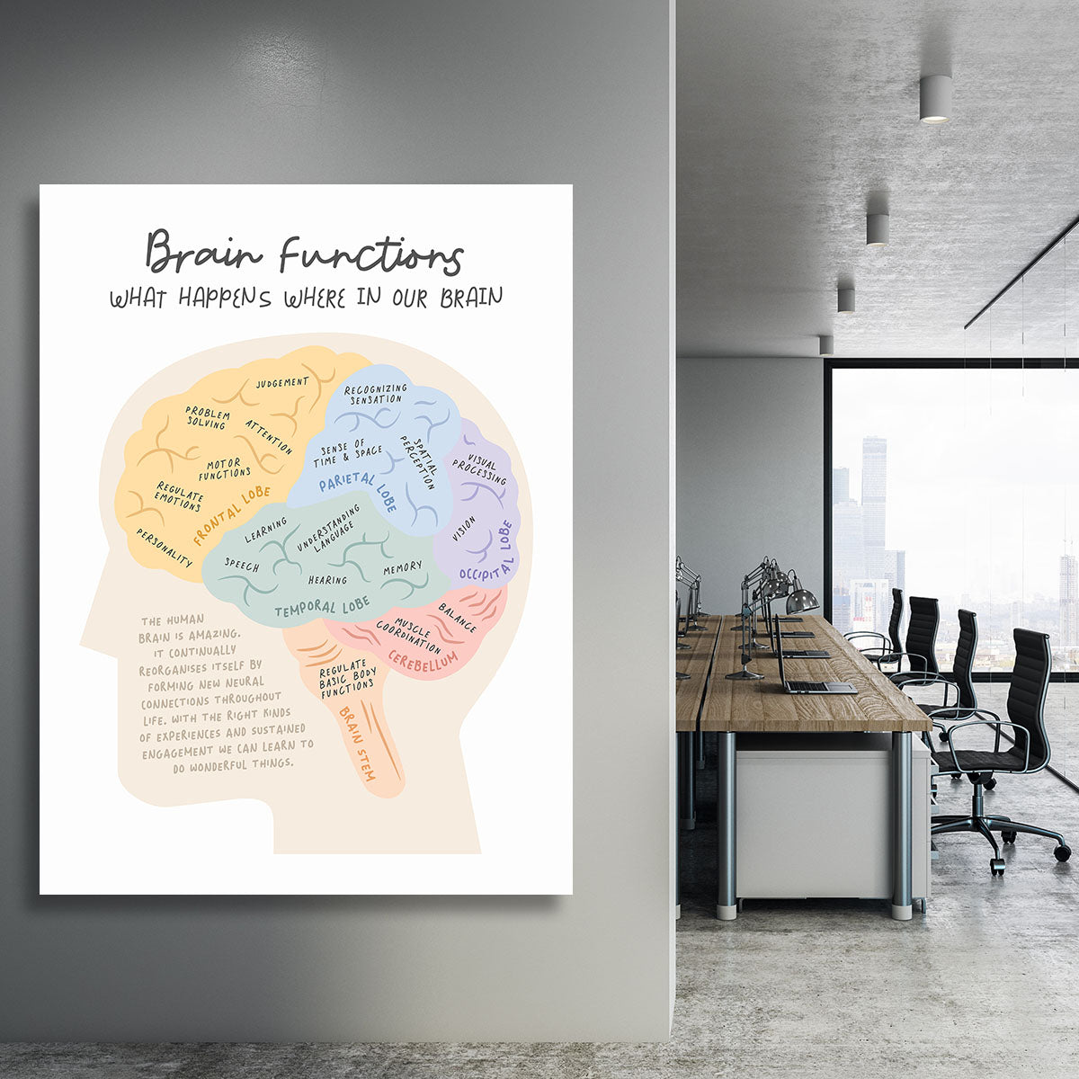 Brain Functions Canvas Print or Poster - Canvas Art Rocks - 3