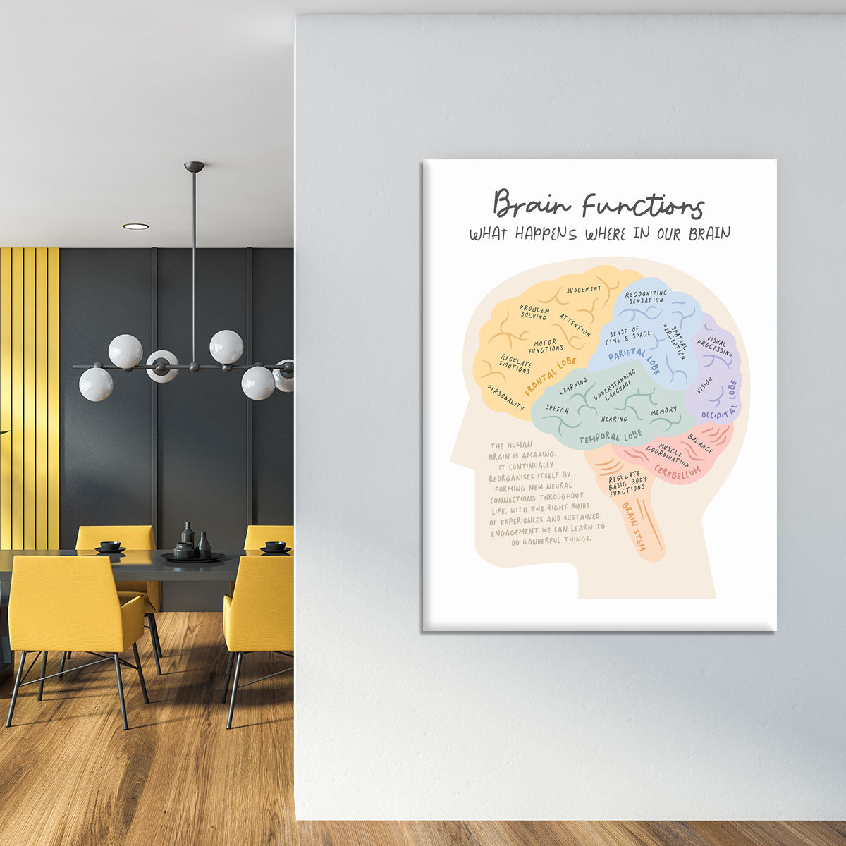 Brain Functions Canvas Print or Poster - Canvas Art Rocks - 4