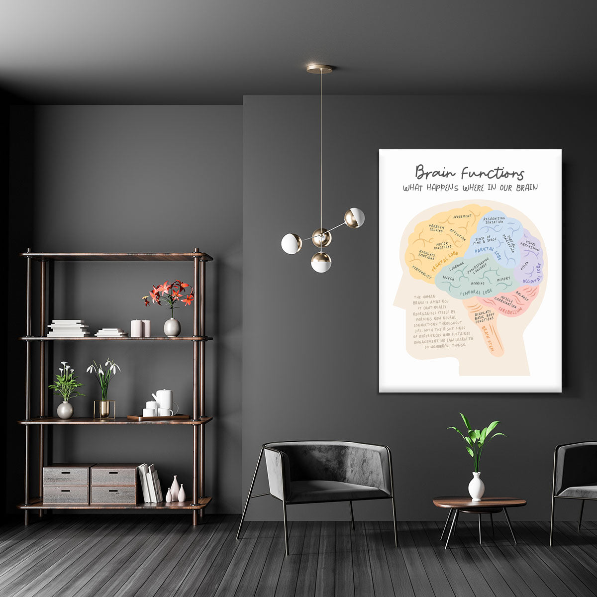 Brain Functions Canvas Print or Poster - Canvas Art Rocks - 5