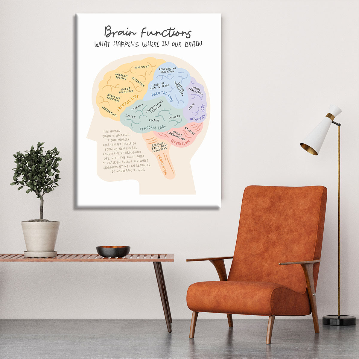 Brain Functions Canvas Print or Poster - Canvas Art Rocks - 6