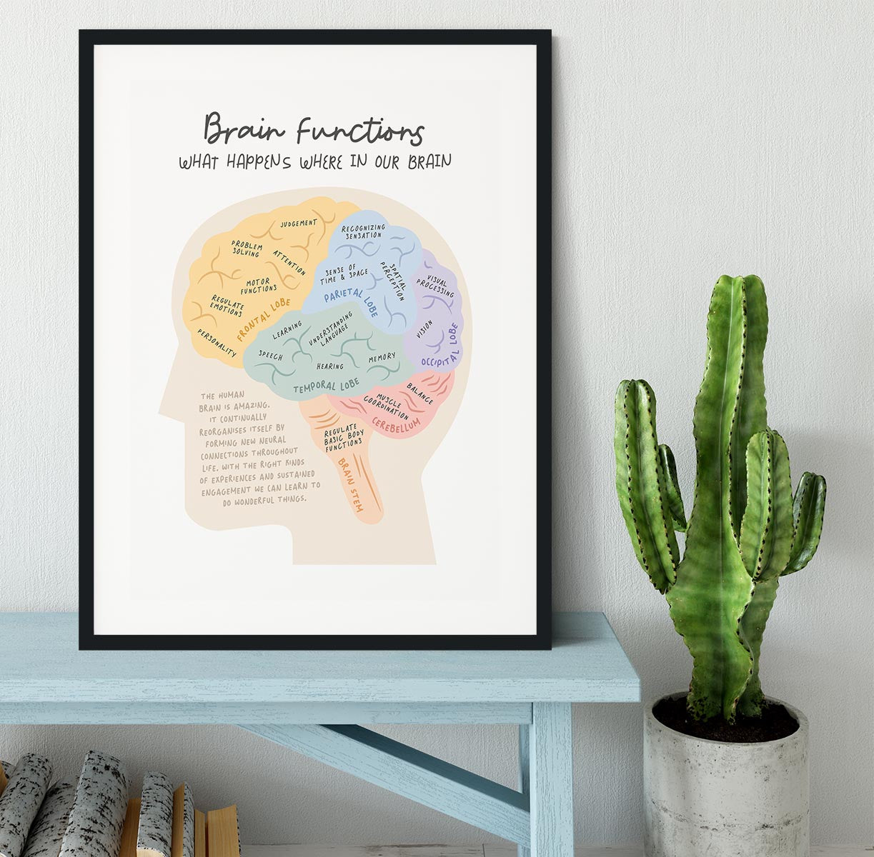 Brain Functions Framed Print - Canvas Art Rocks - 1