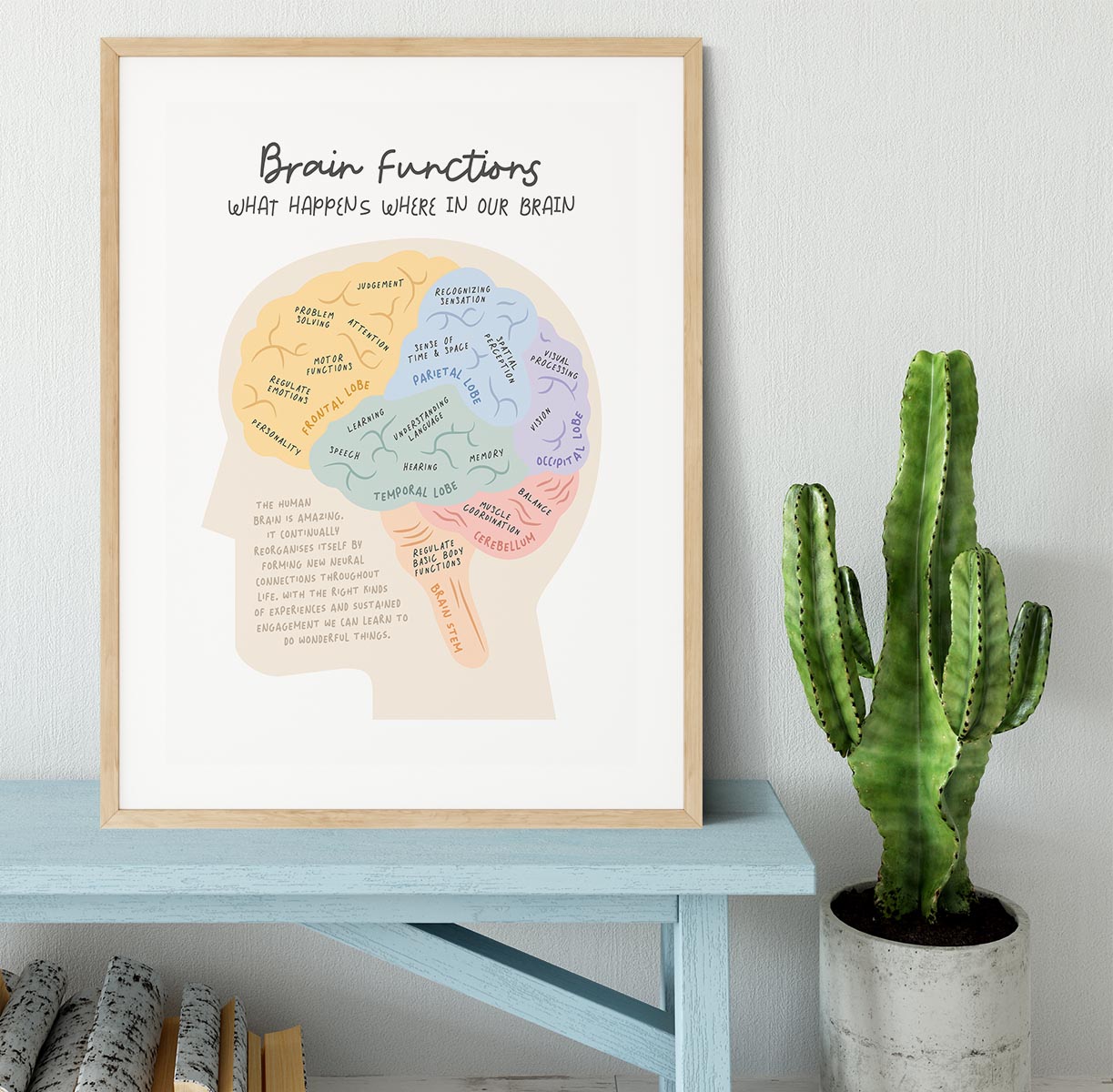 Brain Functions Framed Print - Canvas Art Rocks - 3