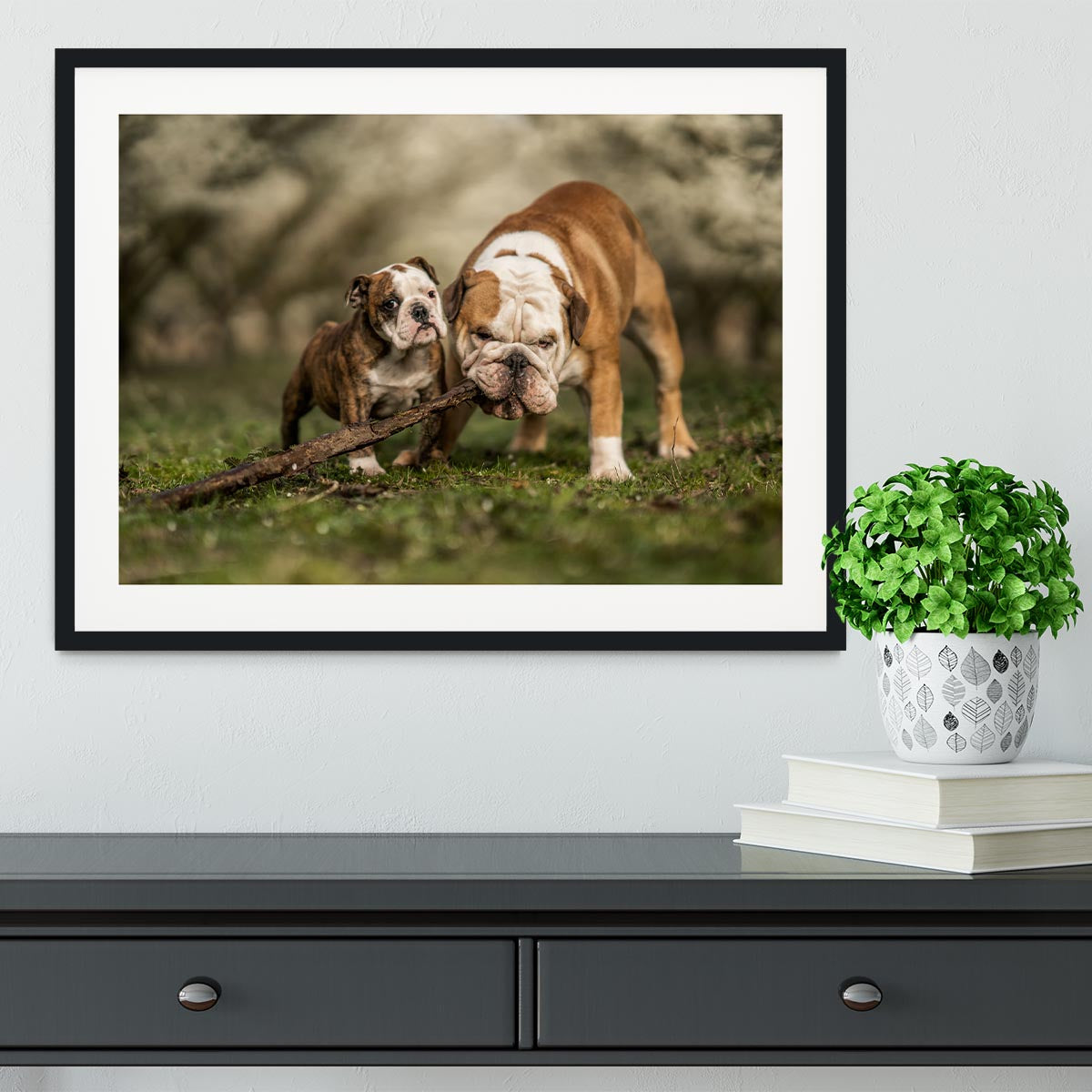 Busy with a stick Framed Print - 1x - 1