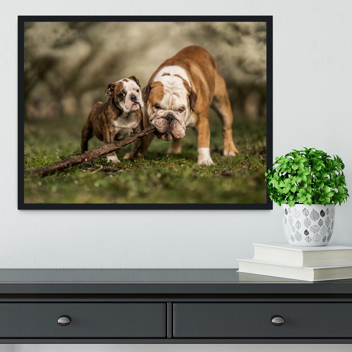 Busy with a stick Framed Print - 1x - 2