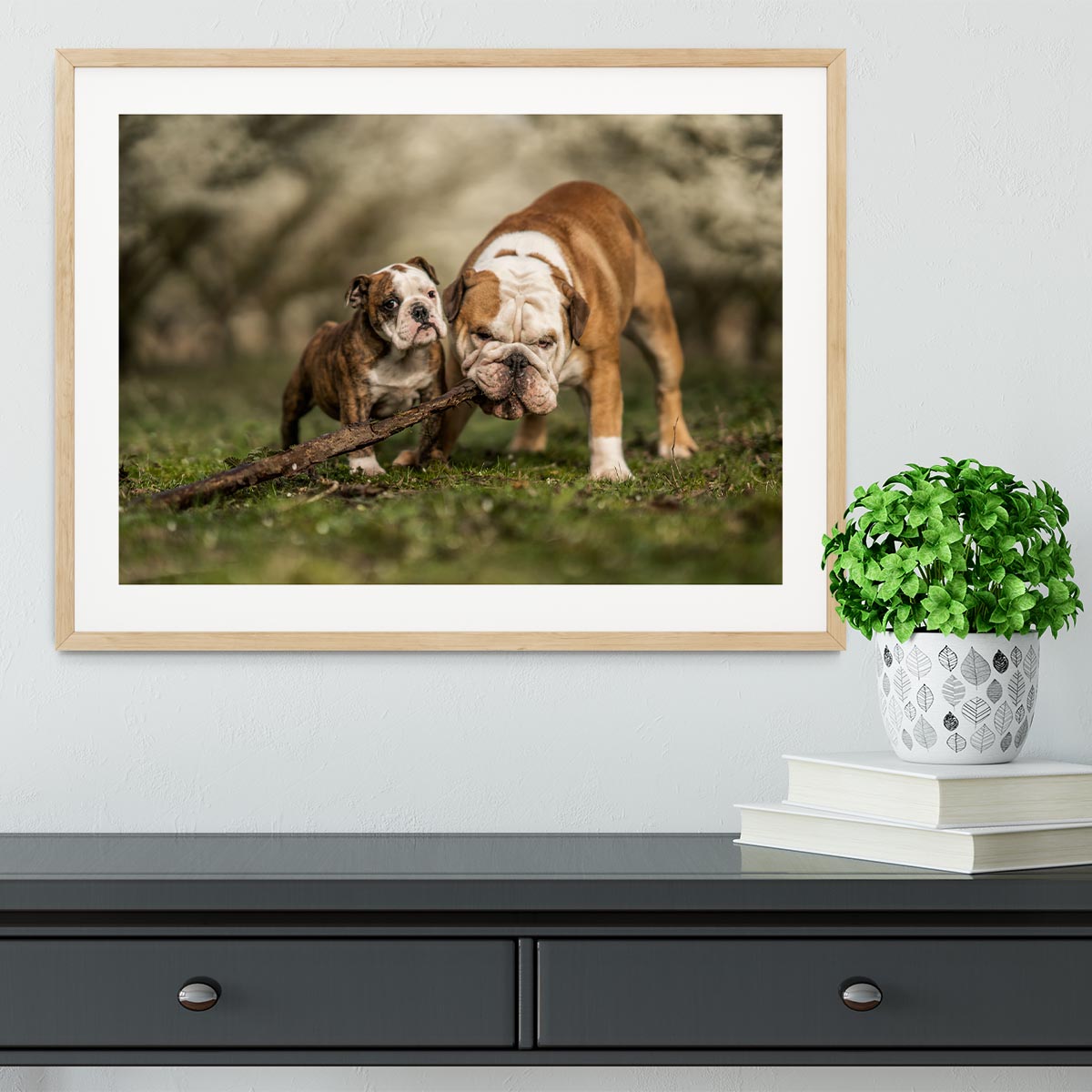 Busy with a stick Framed Print - 1x - 3