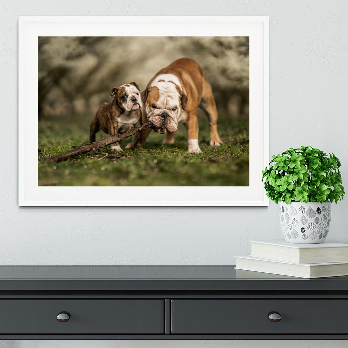 Busy with a stick Framed Print - 1x - 5