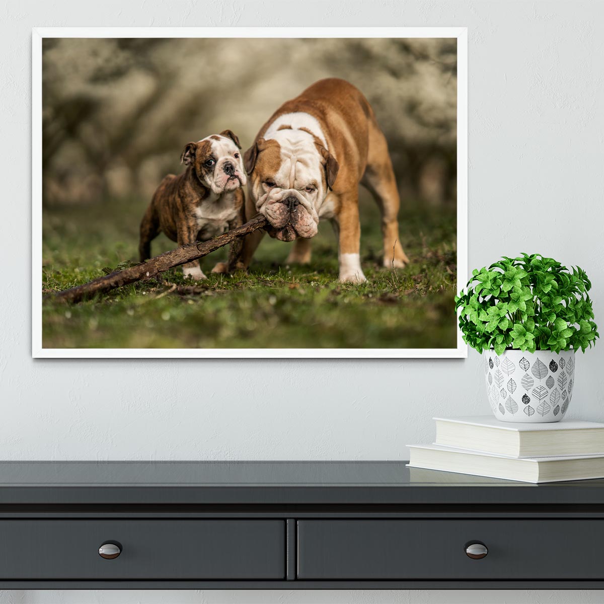 Busy with a stick Framed Print - 1x -6