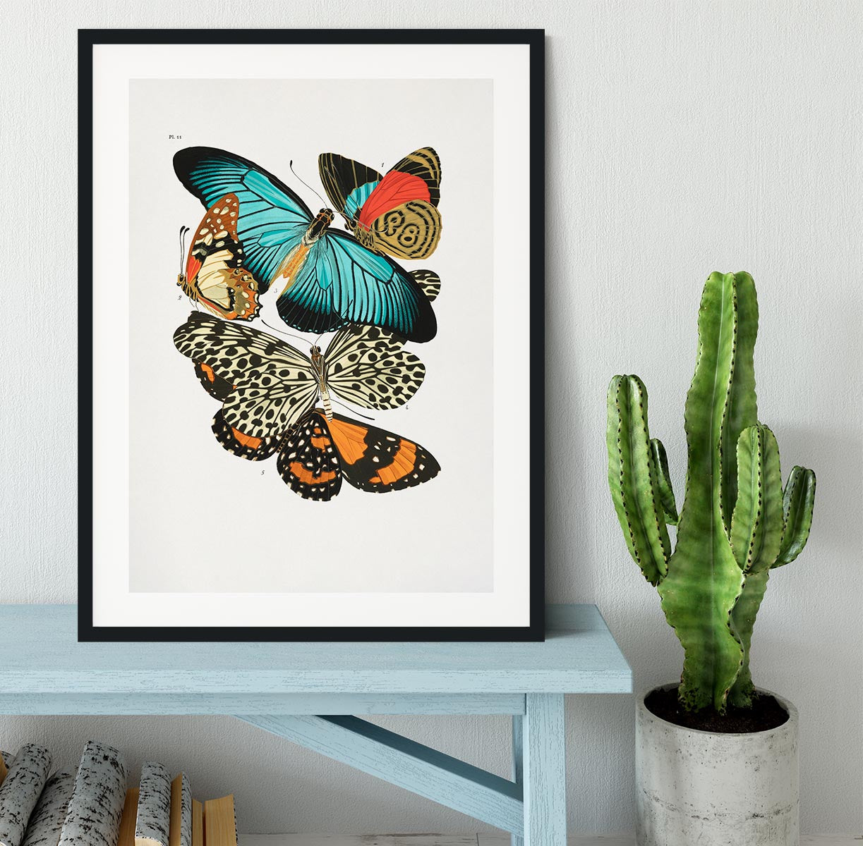 Butterflies Part 11 Framed Print - Canvas Art Rocks - 1