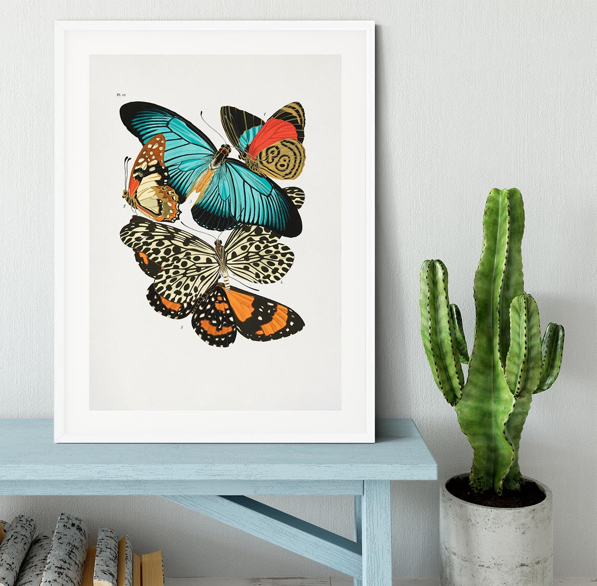 Butterflies Part 11 Framed Print - Canvas Art Rocks - 5