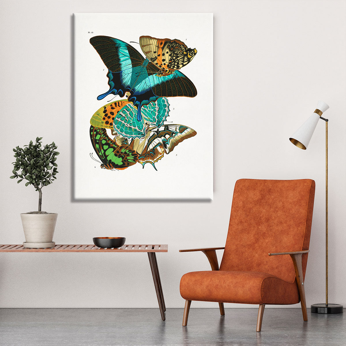 Butterflies Part 13 Canvas Print or Poster - Canvas Art Rocks - 6