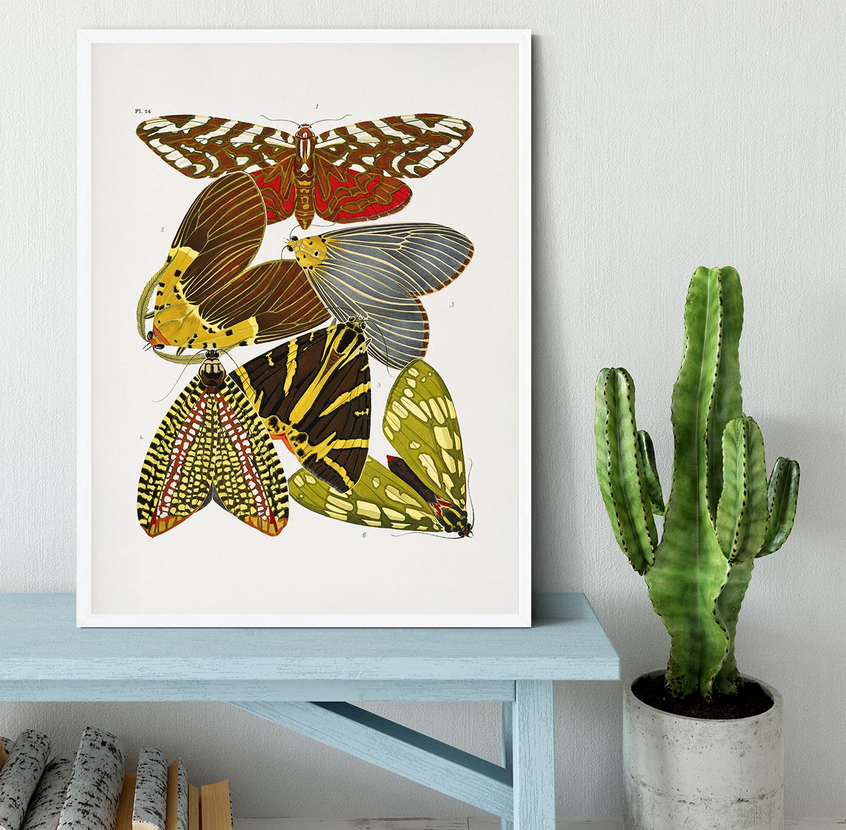 Butterflies Part 14 Framed Print - Canvas Art Rocks -6