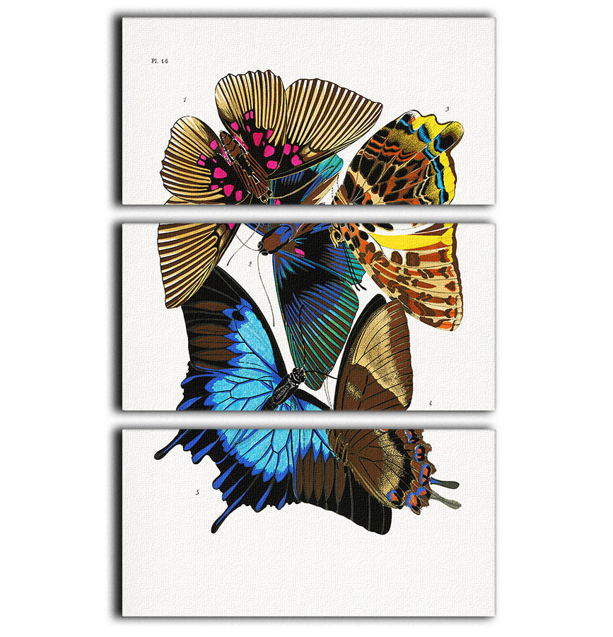 Butterflies Part 16 3 Split Panel Canvas Print - Canvas Art Rocks - 1