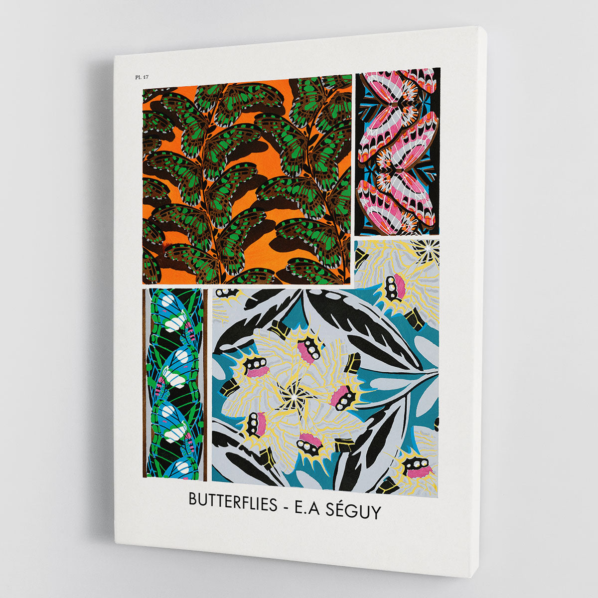 Butterflies Part 17 Canvas Print or Poster - Canvas Art Rocks - 1