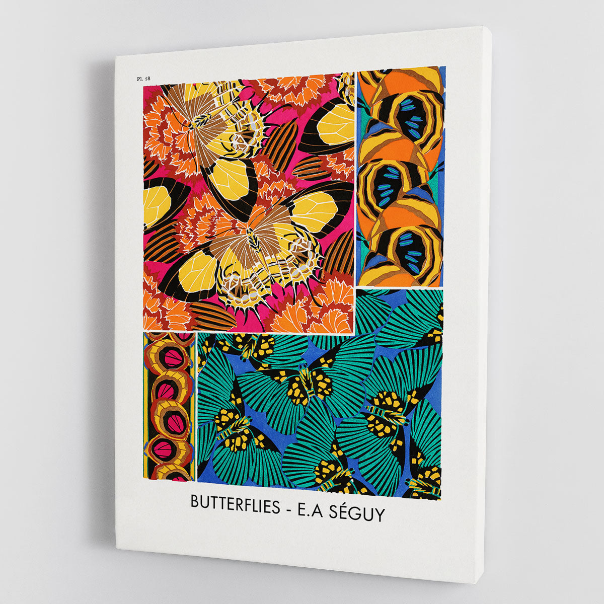 Butterflies Part 18 Canvas Print or Poster - Canvas Art Rocks - 1