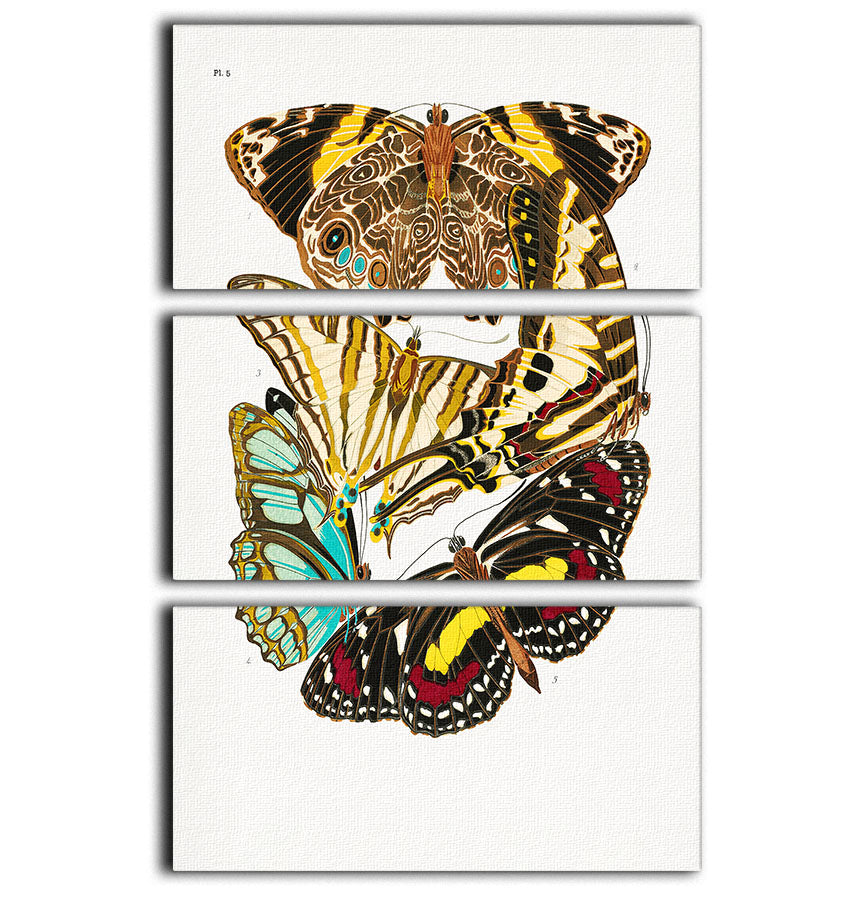 Butterflies Part 5 3 Split Panel Canvas Print - Canvas Art Rocks - 1