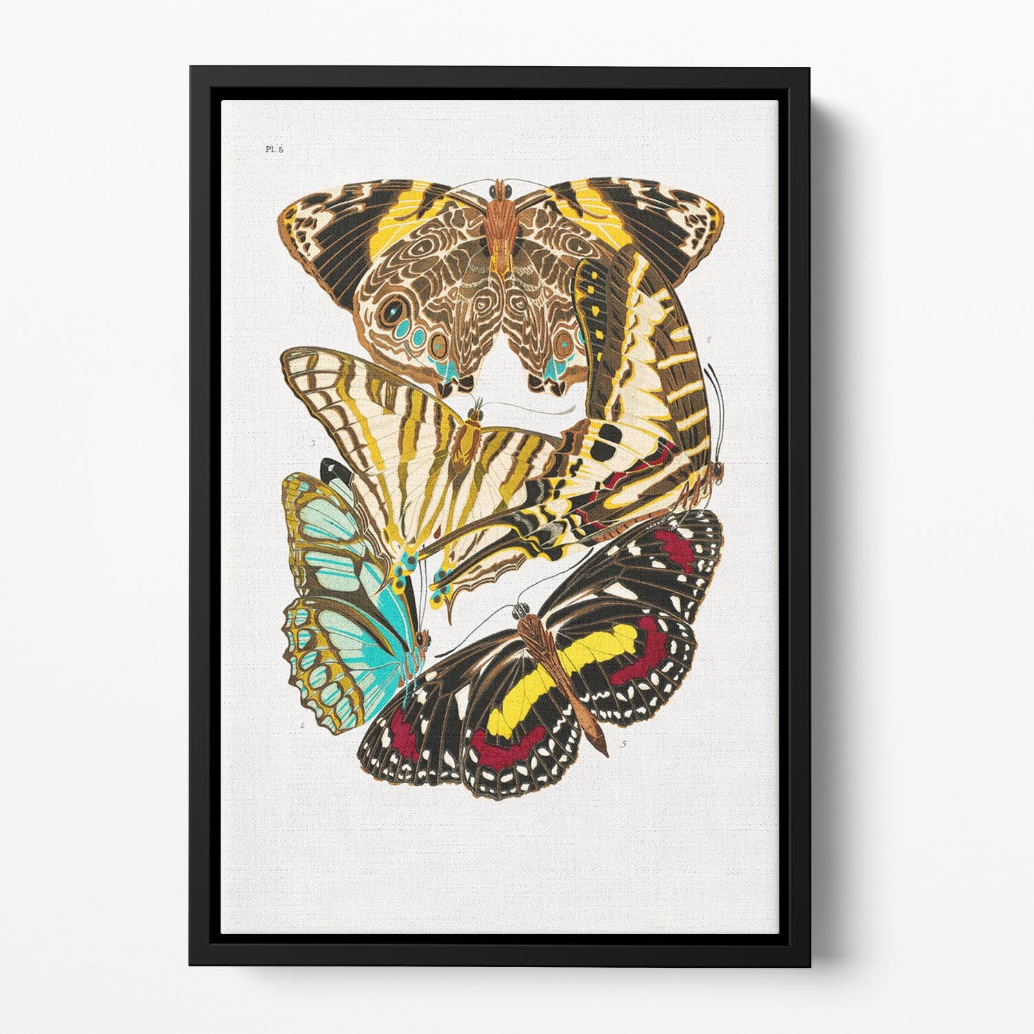 Butterflies Part 5 Floating Framed Canvas - Canvas Art Rocks - 2