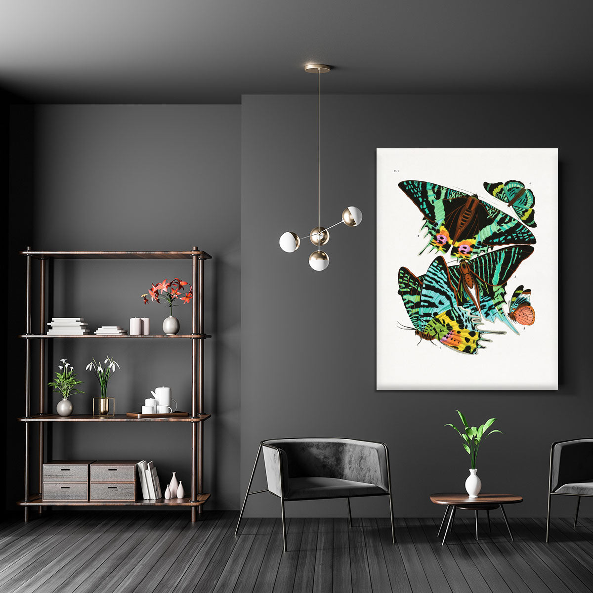 Butterflies Part 7 Canvas Print or Poster - Canvas Art Rocks - 5