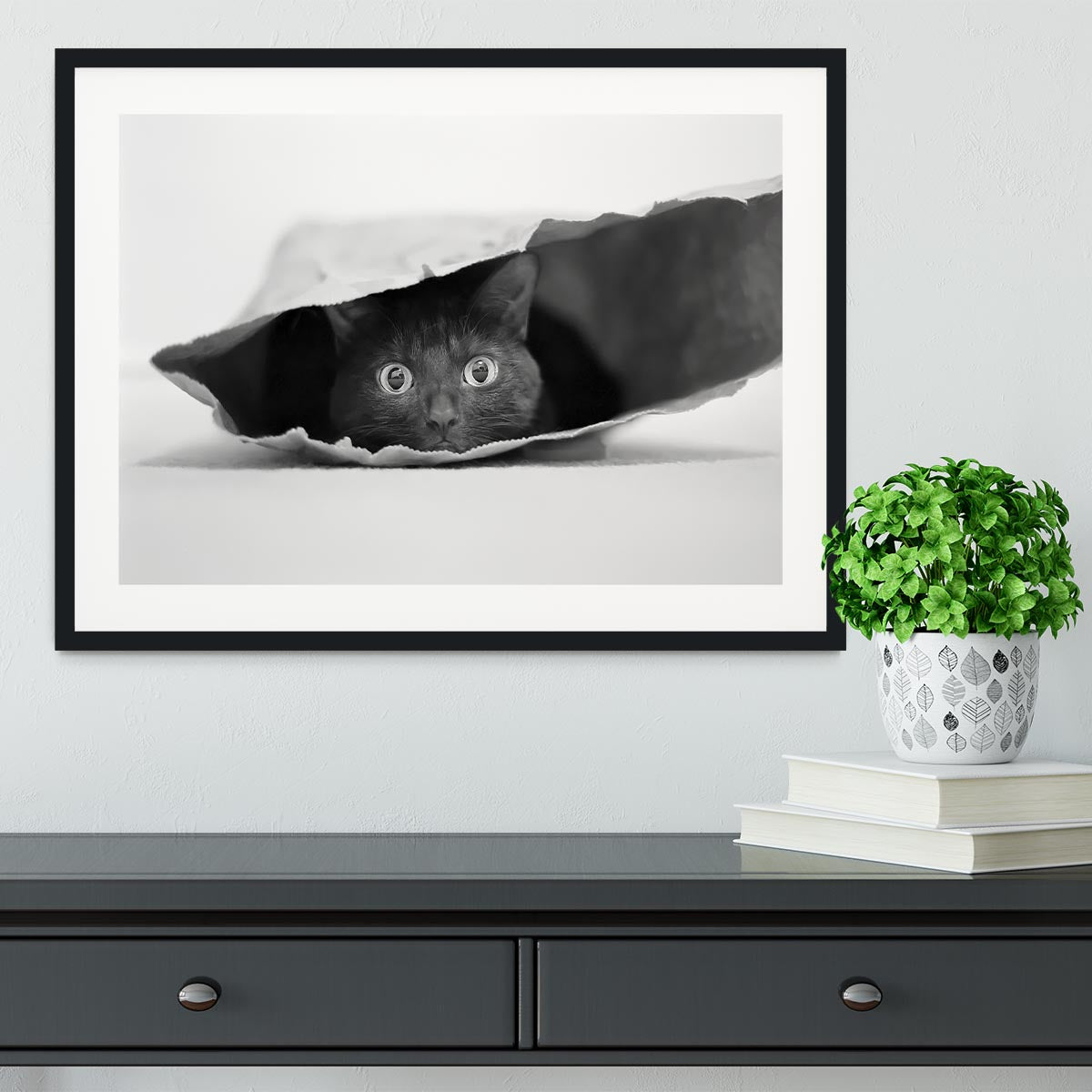 Cat in a bag Framed Print - 1x - 1