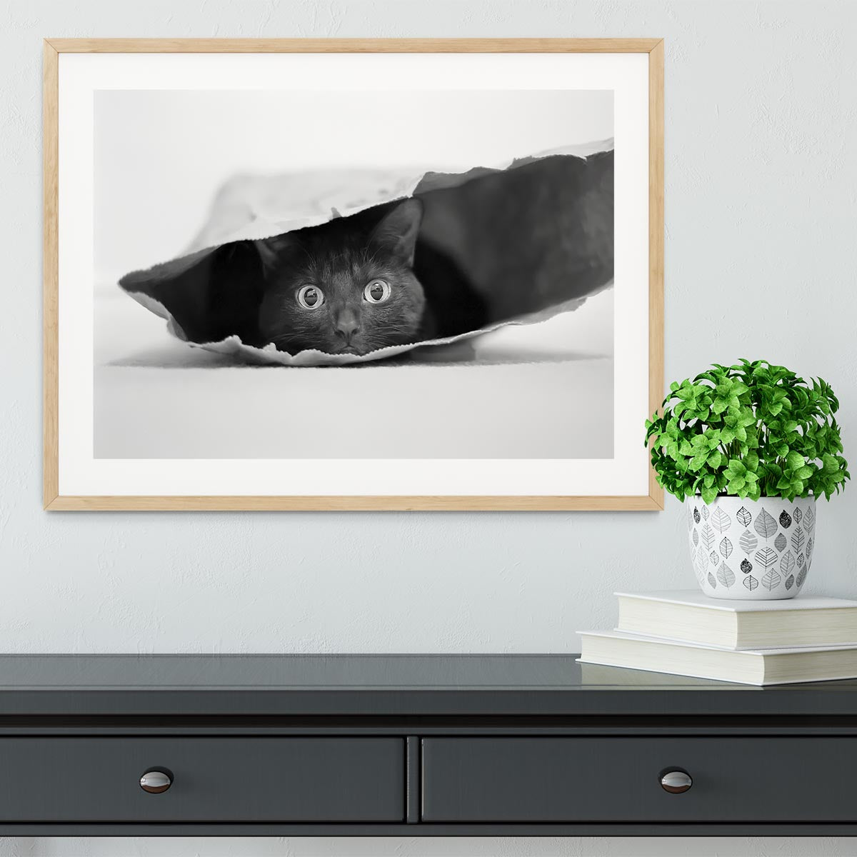 Cat in a bag Framed Print - 1x - 3