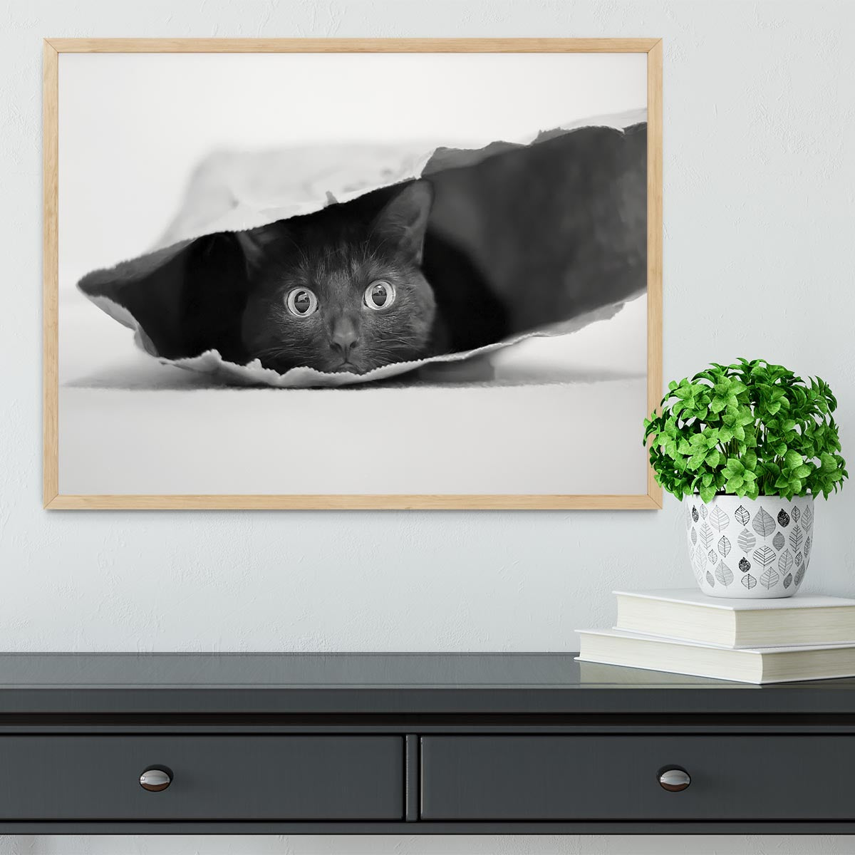 Cat in a bag Framed Print - 1x - 4